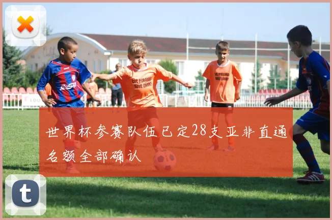 世界杯参赛队伍已定28支亚非直通名额全部确认